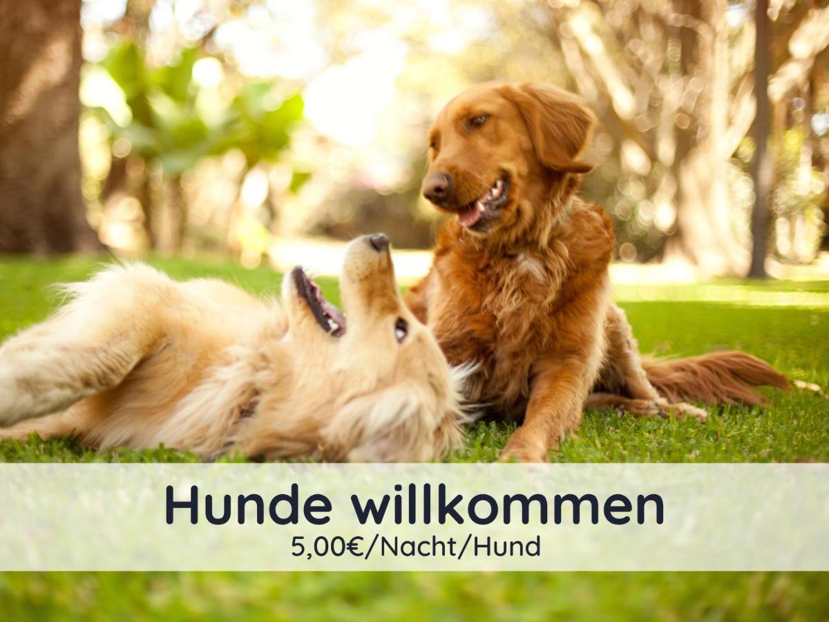 Der Fuchsbau - Fewo Lepetit - Im Sonnigen Harz - Hunde Willkommen - 100M Bis Zum Wald - Free Wlan Apartment Bad Sachsa Luaran gambar