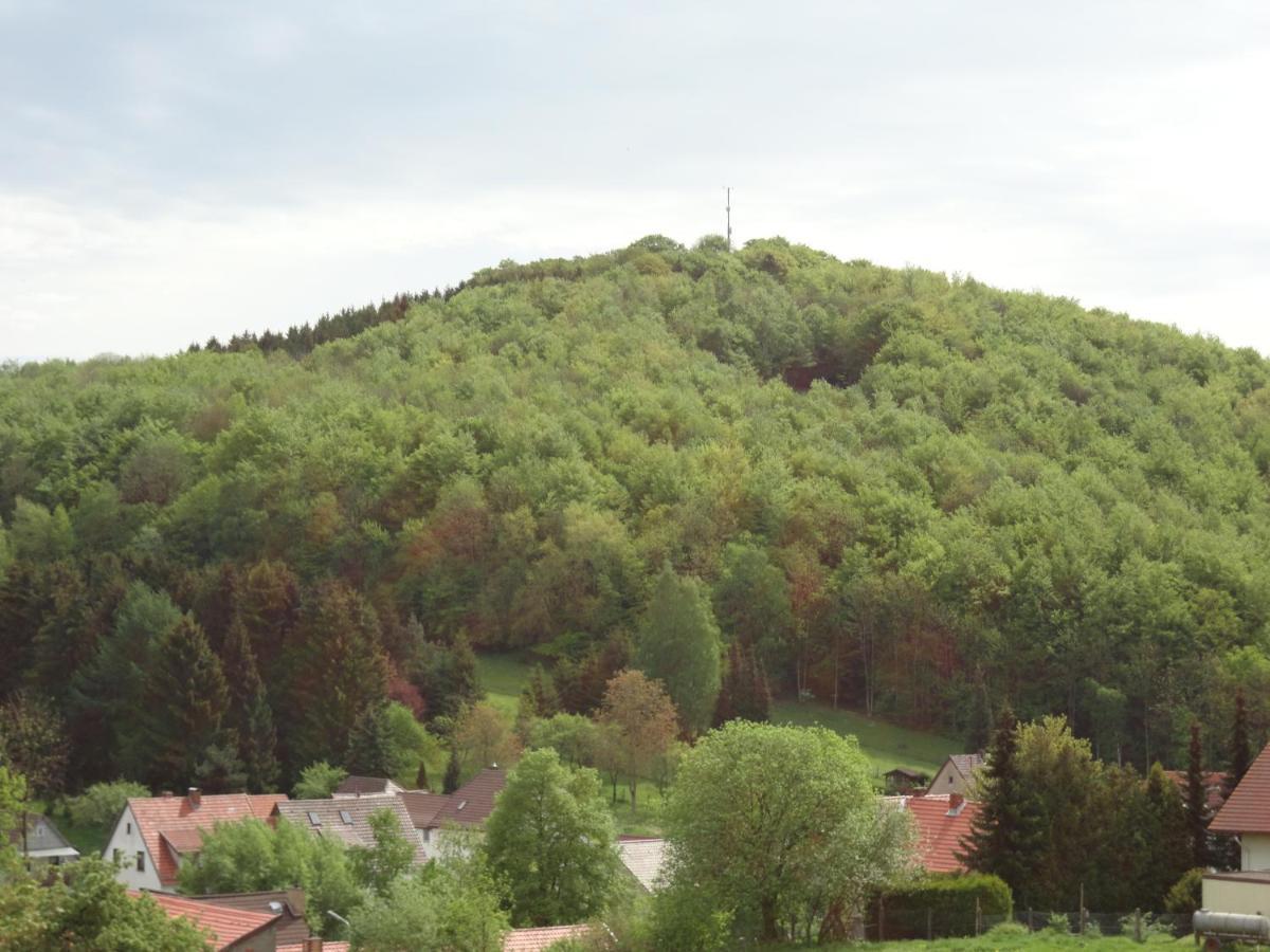 Der Fuchsbau - Fewo Lepetit - Im Sonnigen Harz - Hunde Willkommen - 100M Bis Zum Wald - Free Wlan Apartment Bad Sachsa Luaran gambar