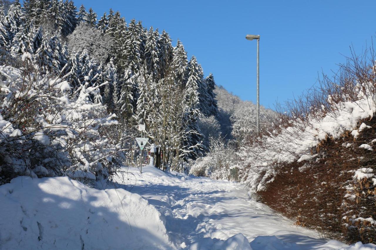 Der Fuchsbau - Fewo Lepetit - Im Sonnigen Harz - Hunde Willkommen - 100M Bis Zum Wald - Free Wlan Apartment Bad Sachsa Luaran gambar